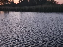 IMG-20250511-WA0028