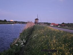 IMG-20250511-WA0031