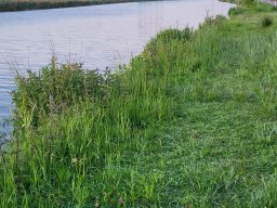 20250517_054341_resized