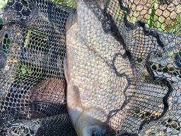 IMG-20250517-WA0043